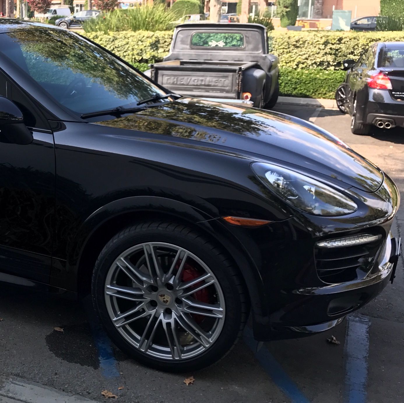 Profile of Lisa Agnew