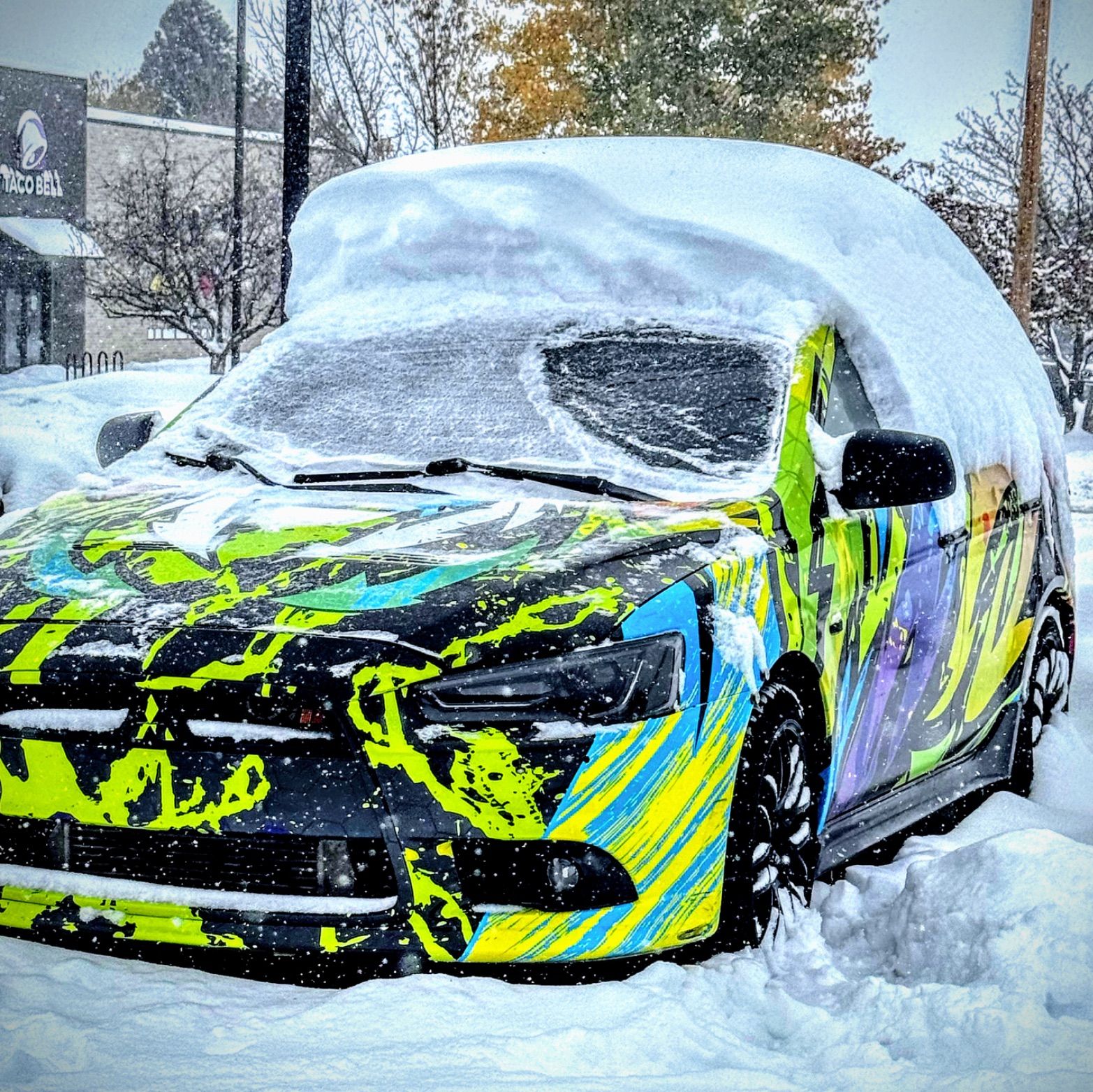 Profile of Quay Painter