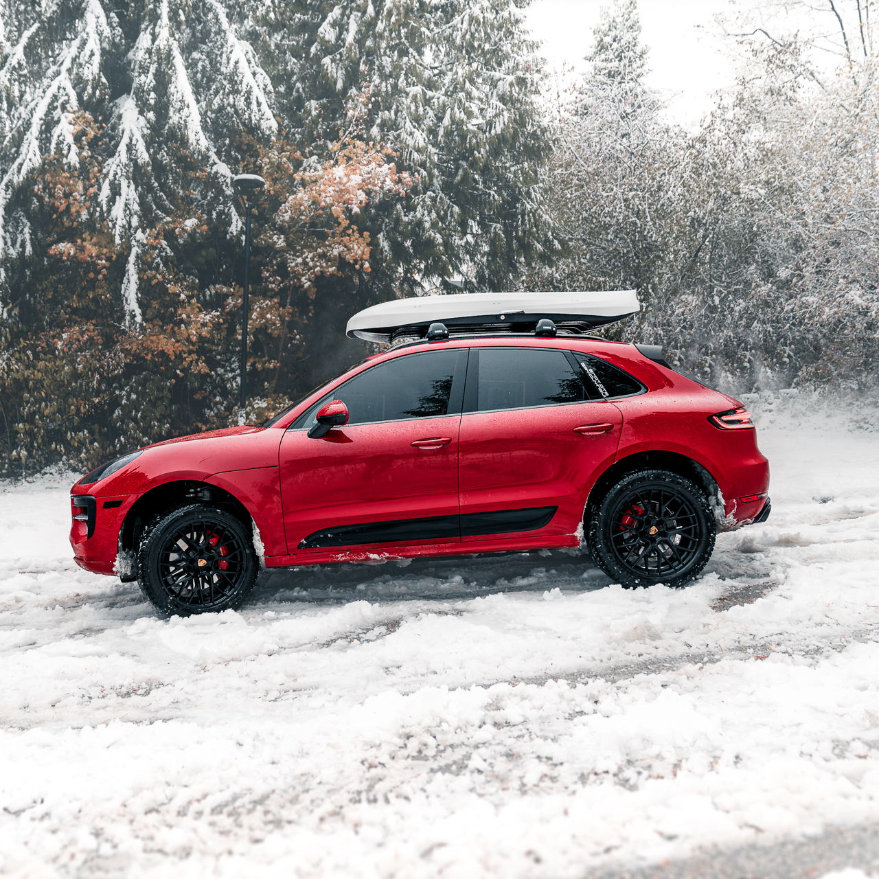 Profile of Duy (DB) Bui