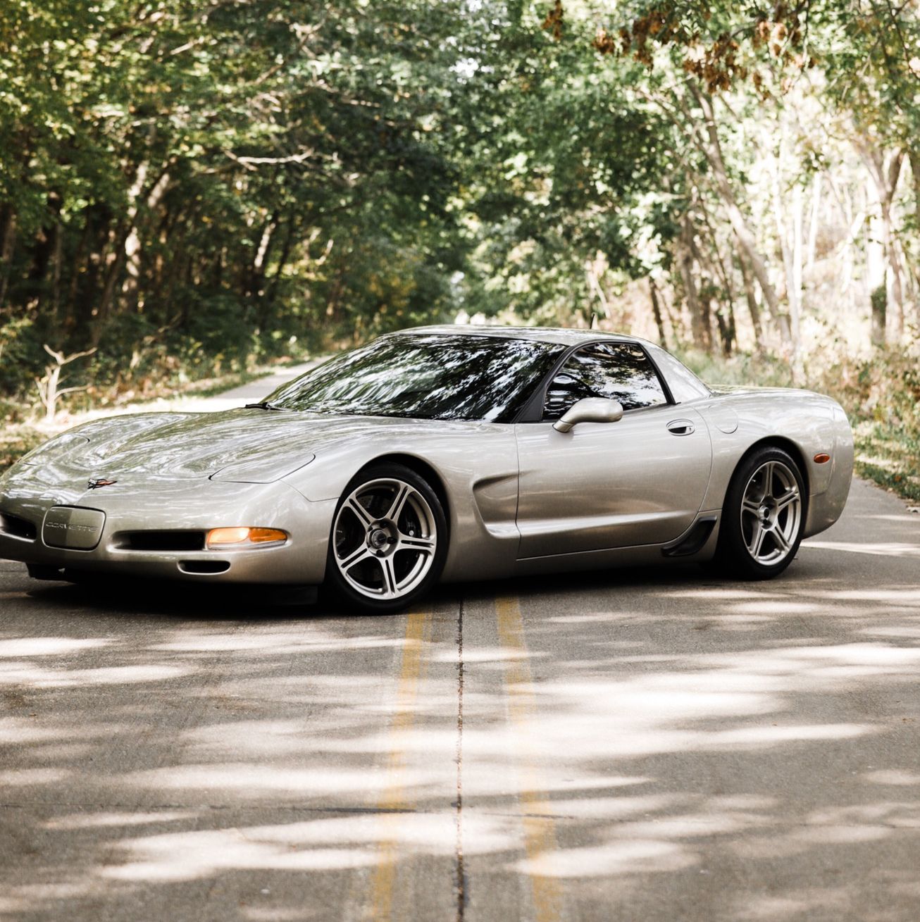 Profile of Colin Vogt