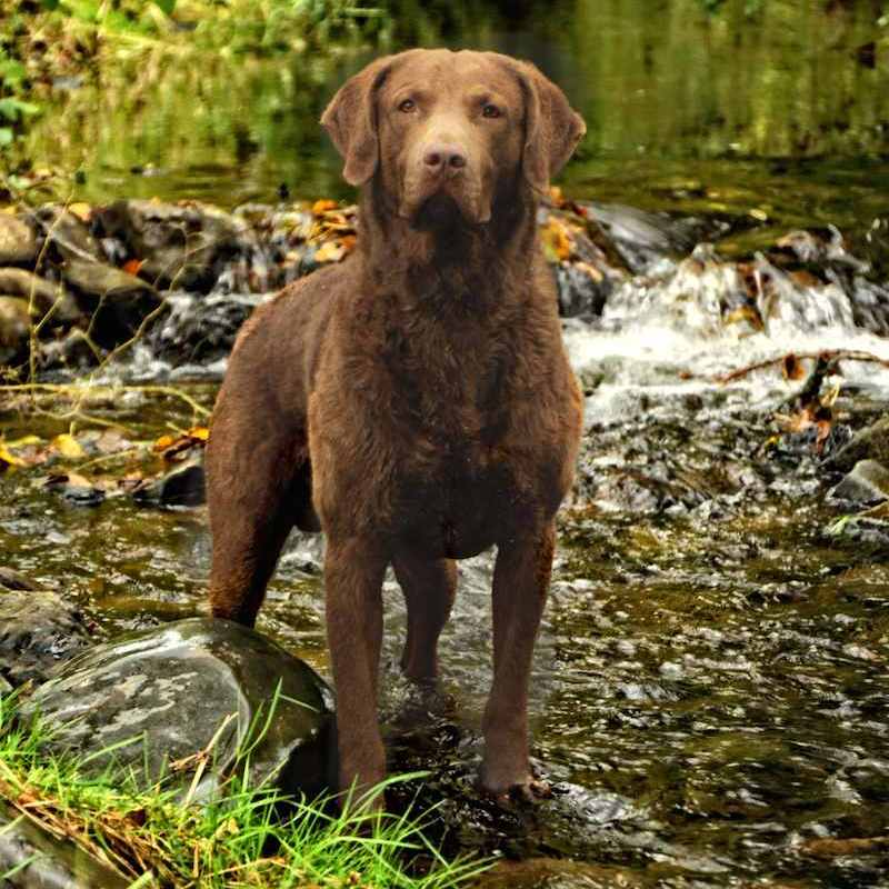 Profile of Robert Keeley