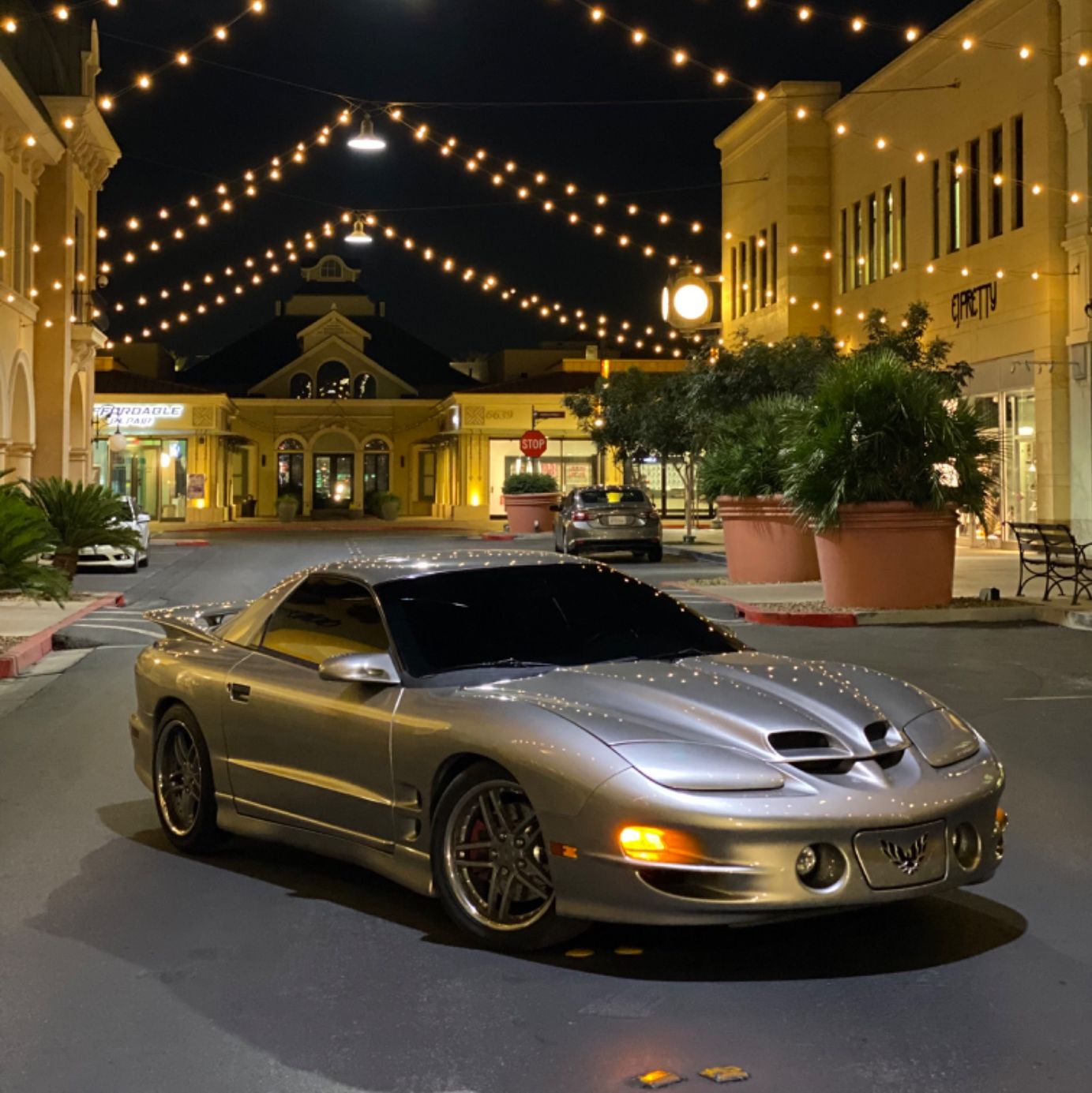 Profile of Damien Harrison