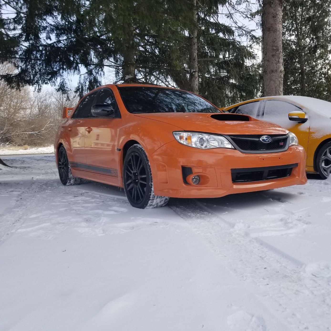 Profile of Brandon Knoll