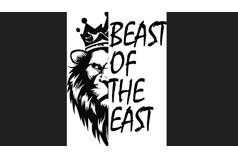 2026 Beast of the East (NCR v THSCC) Autox 