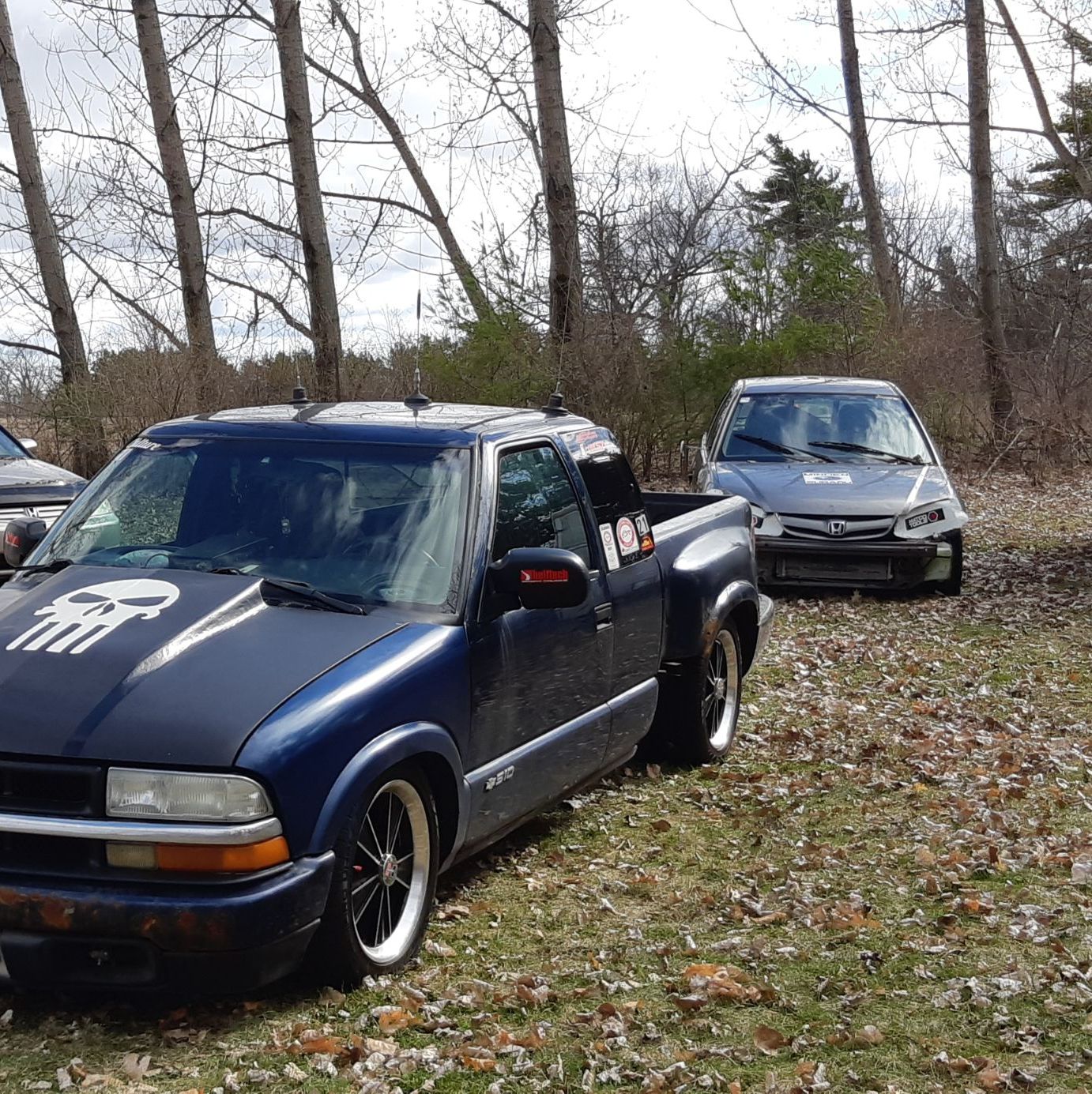 Profile of Dylan Williams