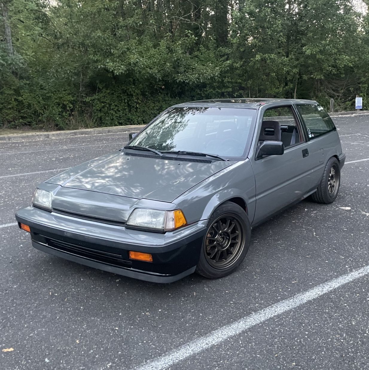 Profile of Robert Cremins