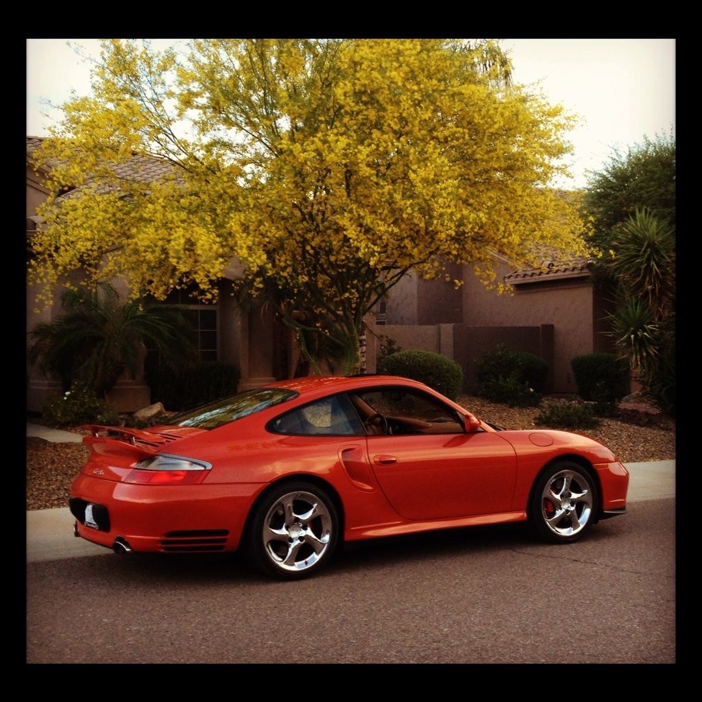 Profile of Shannon Kelly