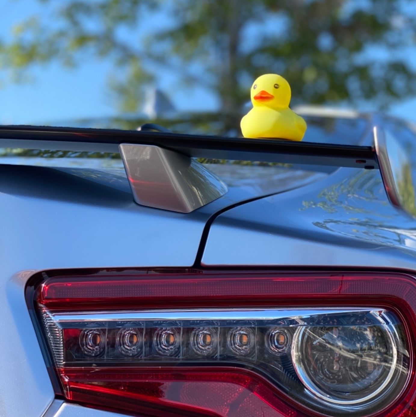 Profile of Wenlong Xia