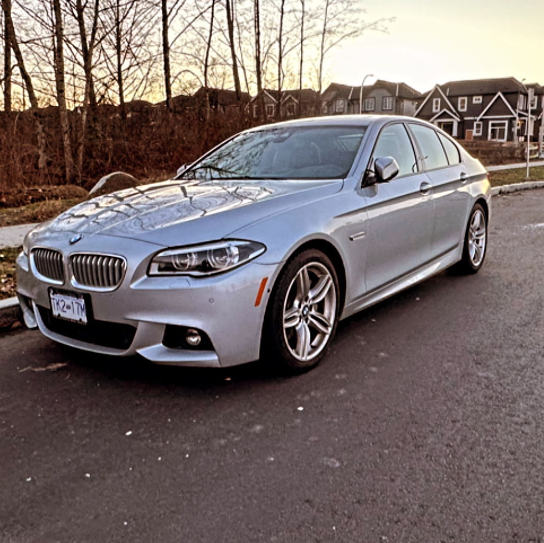 Profile of Nemanja Savic