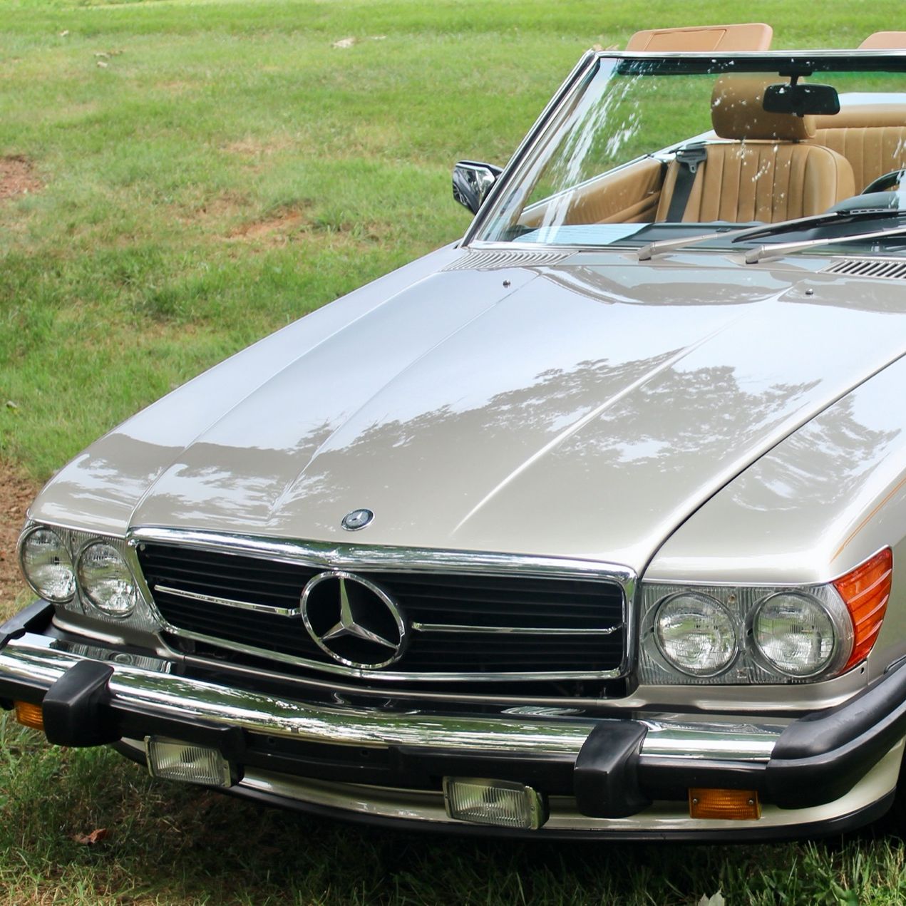 Profile of Stu Bradley