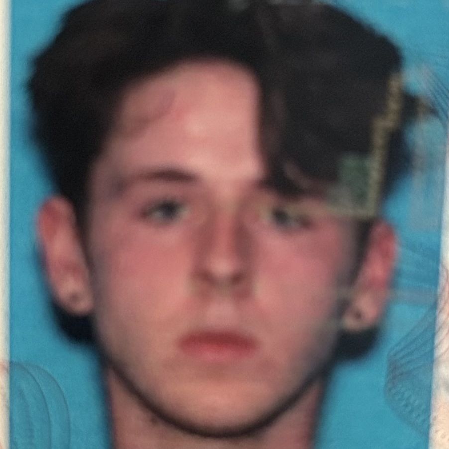 Profile of Dylan Dervis