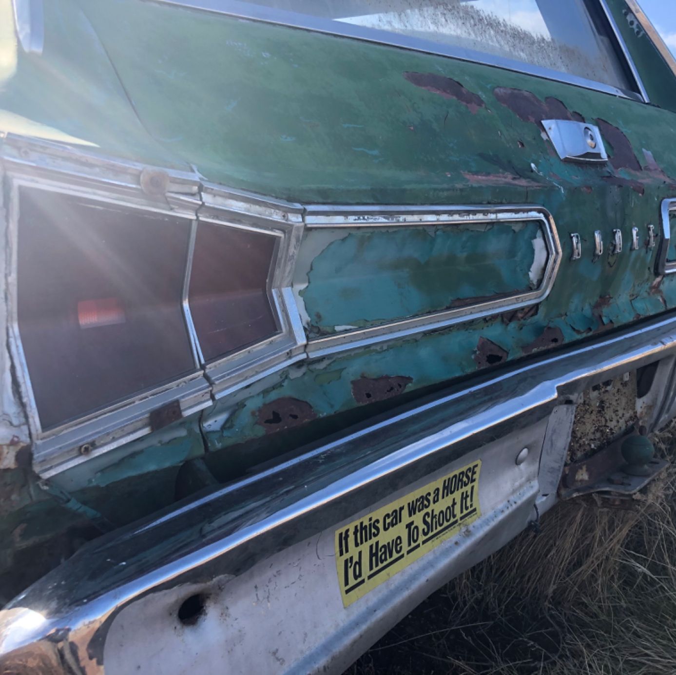 Profile of Mike Northcott