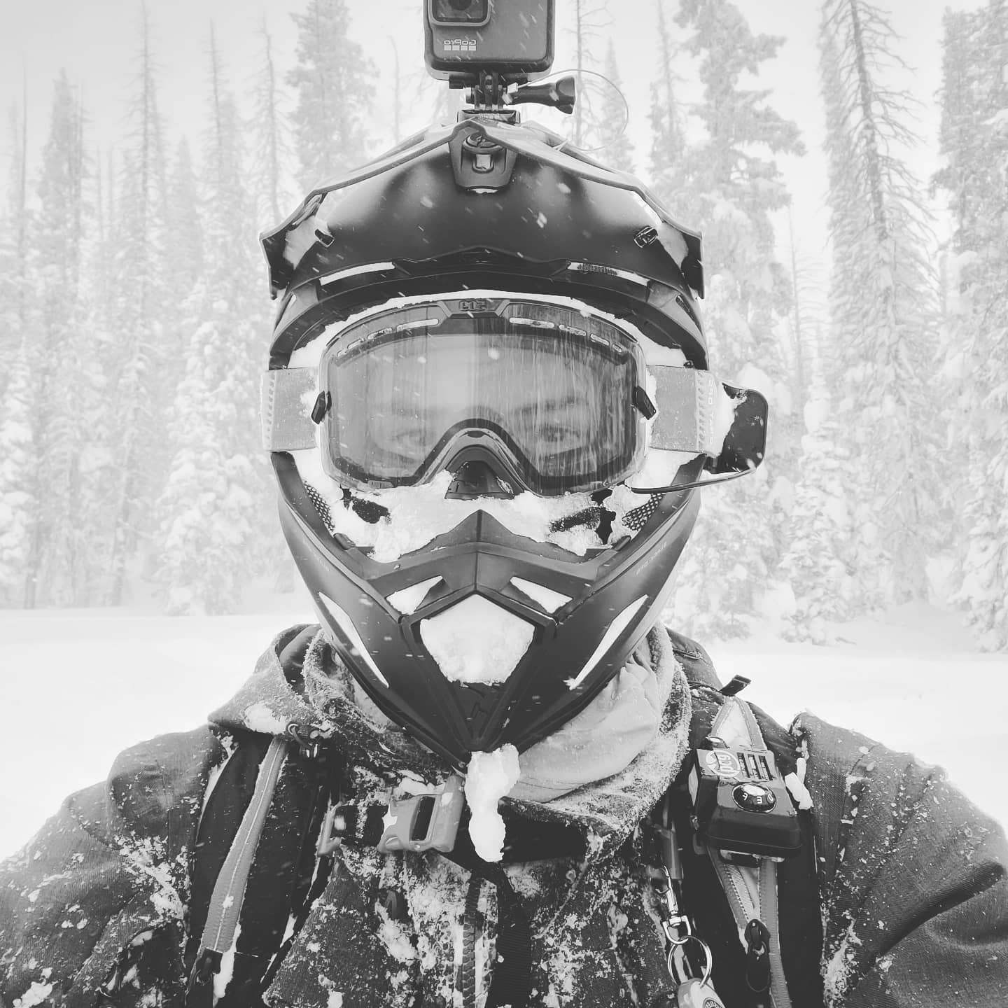 Profile of Michael Merelli