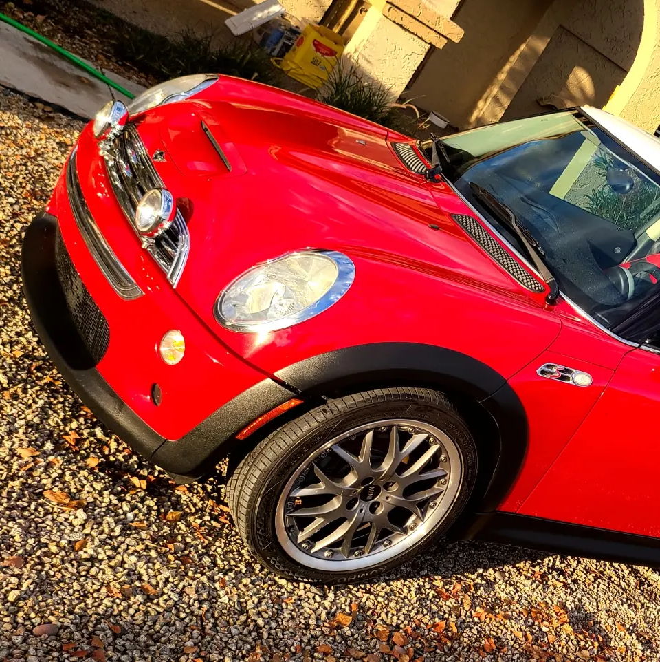 Profile of Mathew Penny