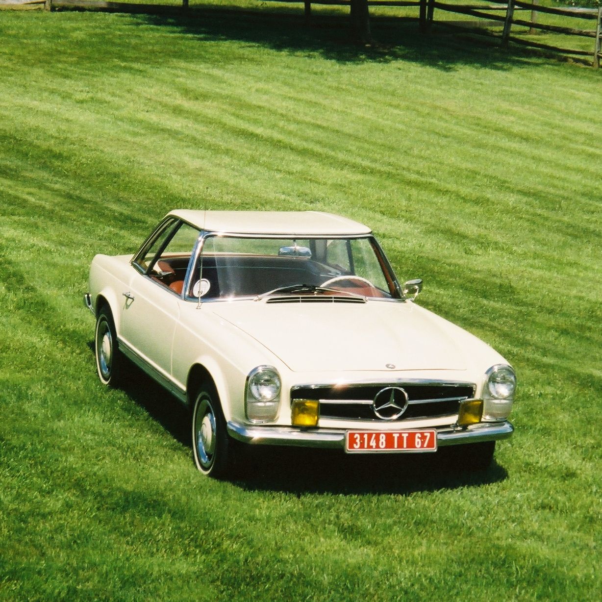 Profile of Amy McKenna