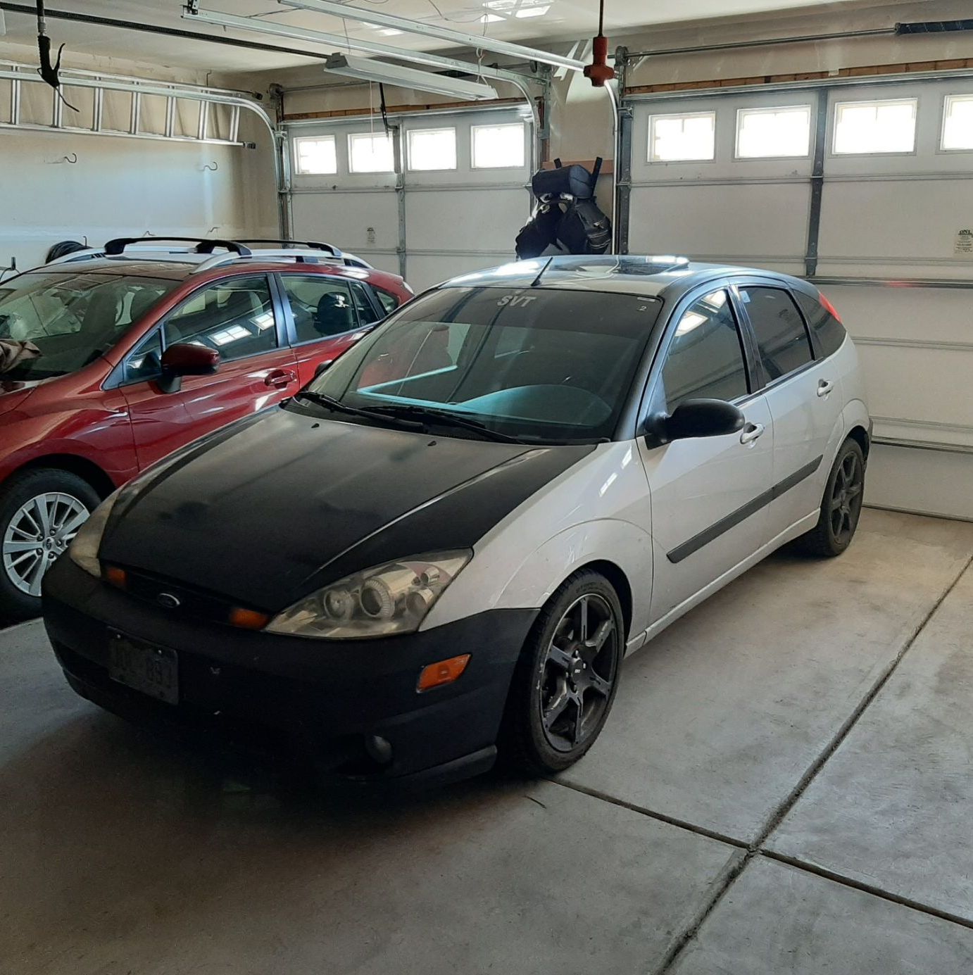 Profile of Michael Dickenson