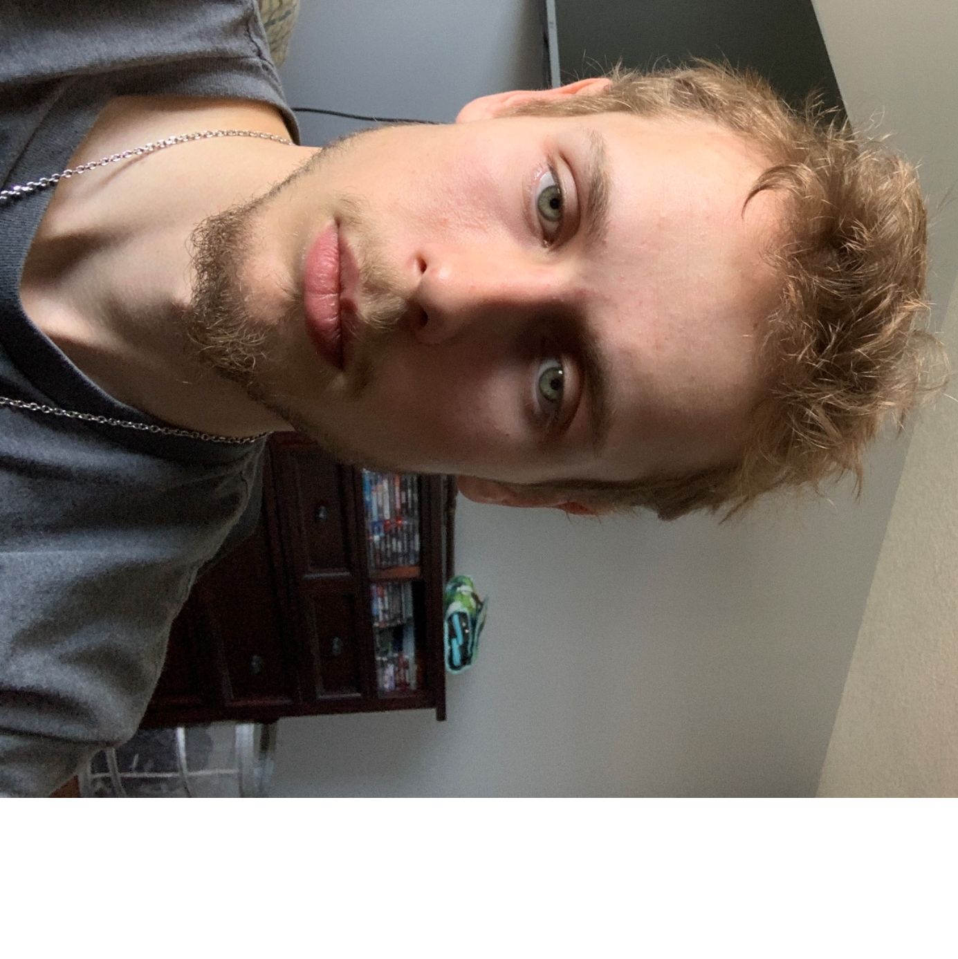 Profile of Marko Vajda