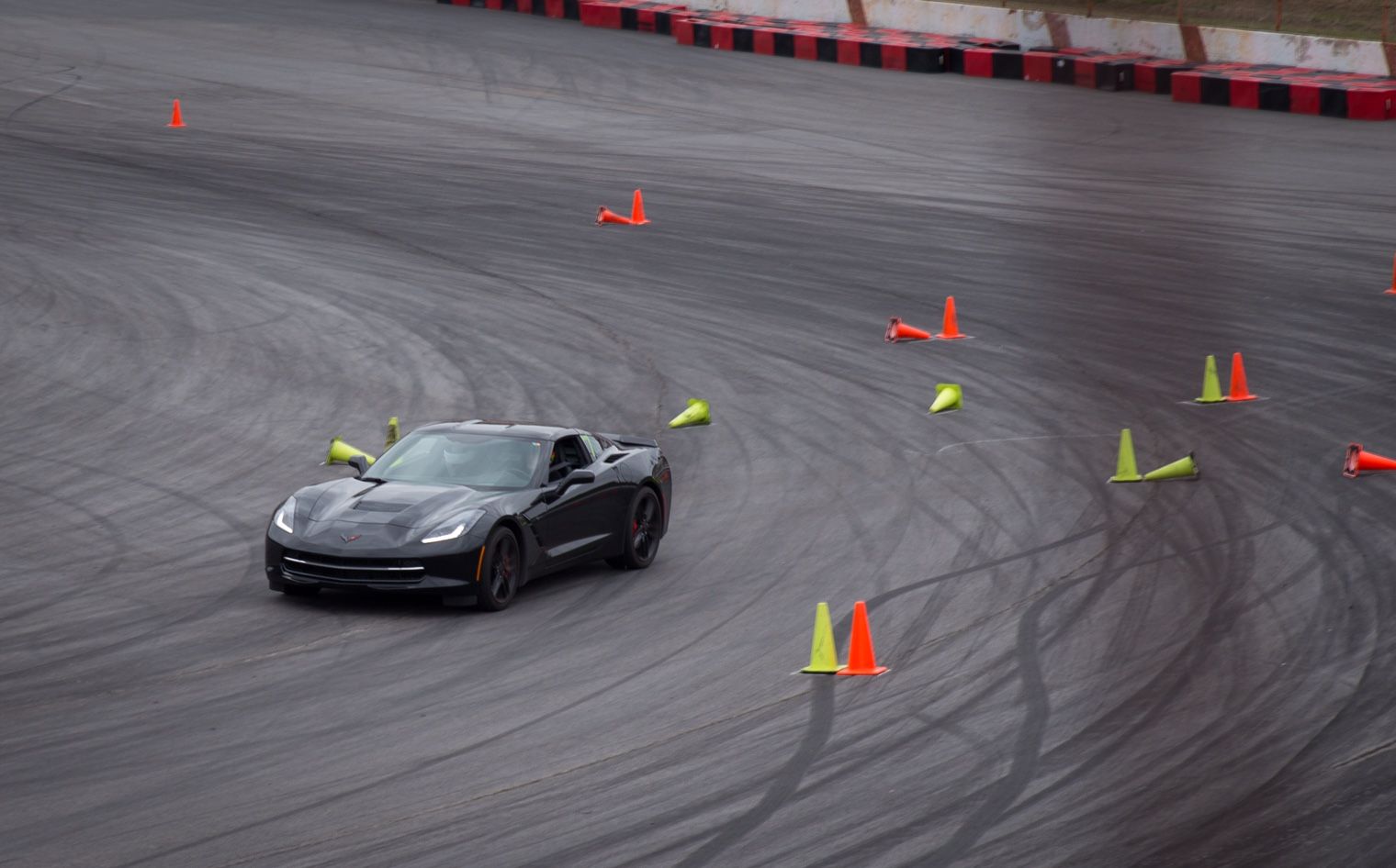 Profile of Shannon Adams