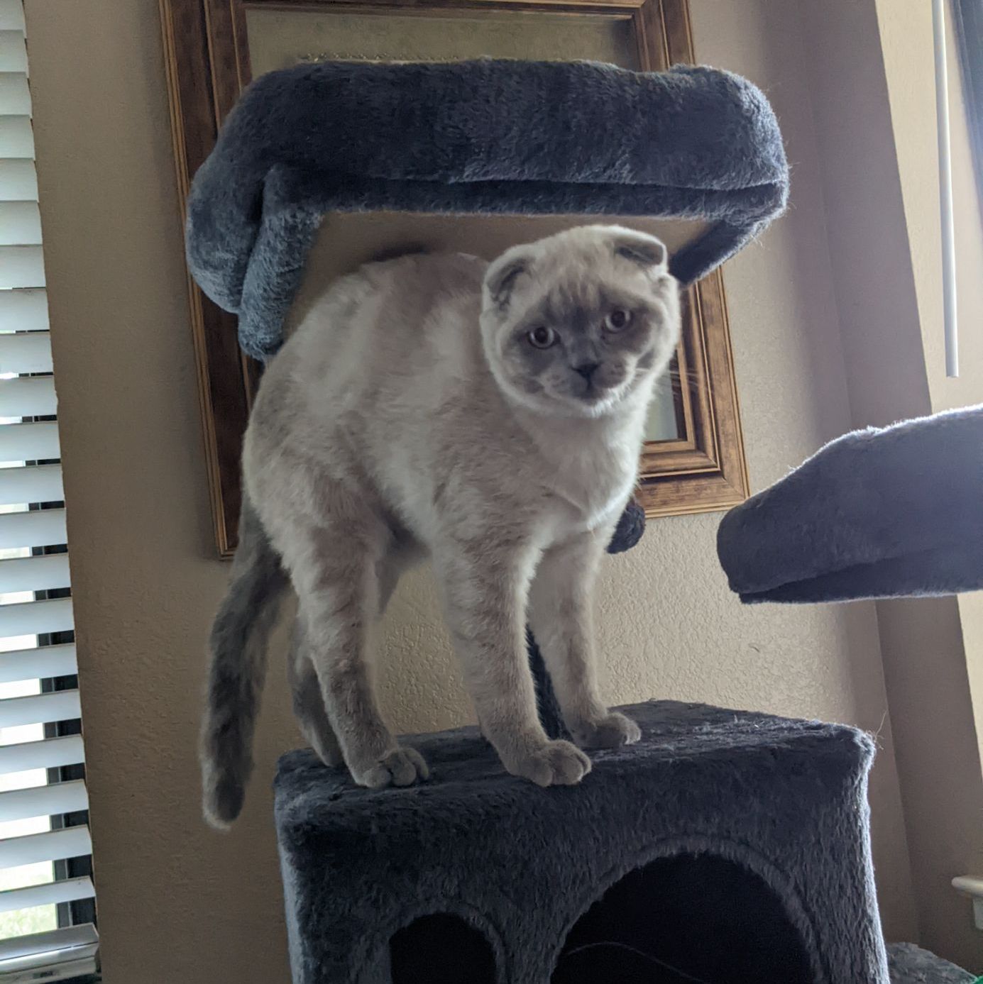 Profile of Duke Marsh