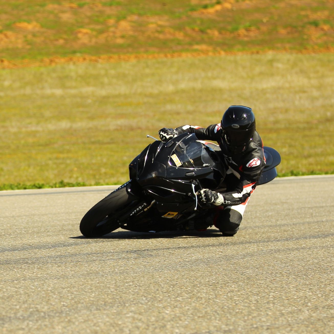 Profile of William Brown