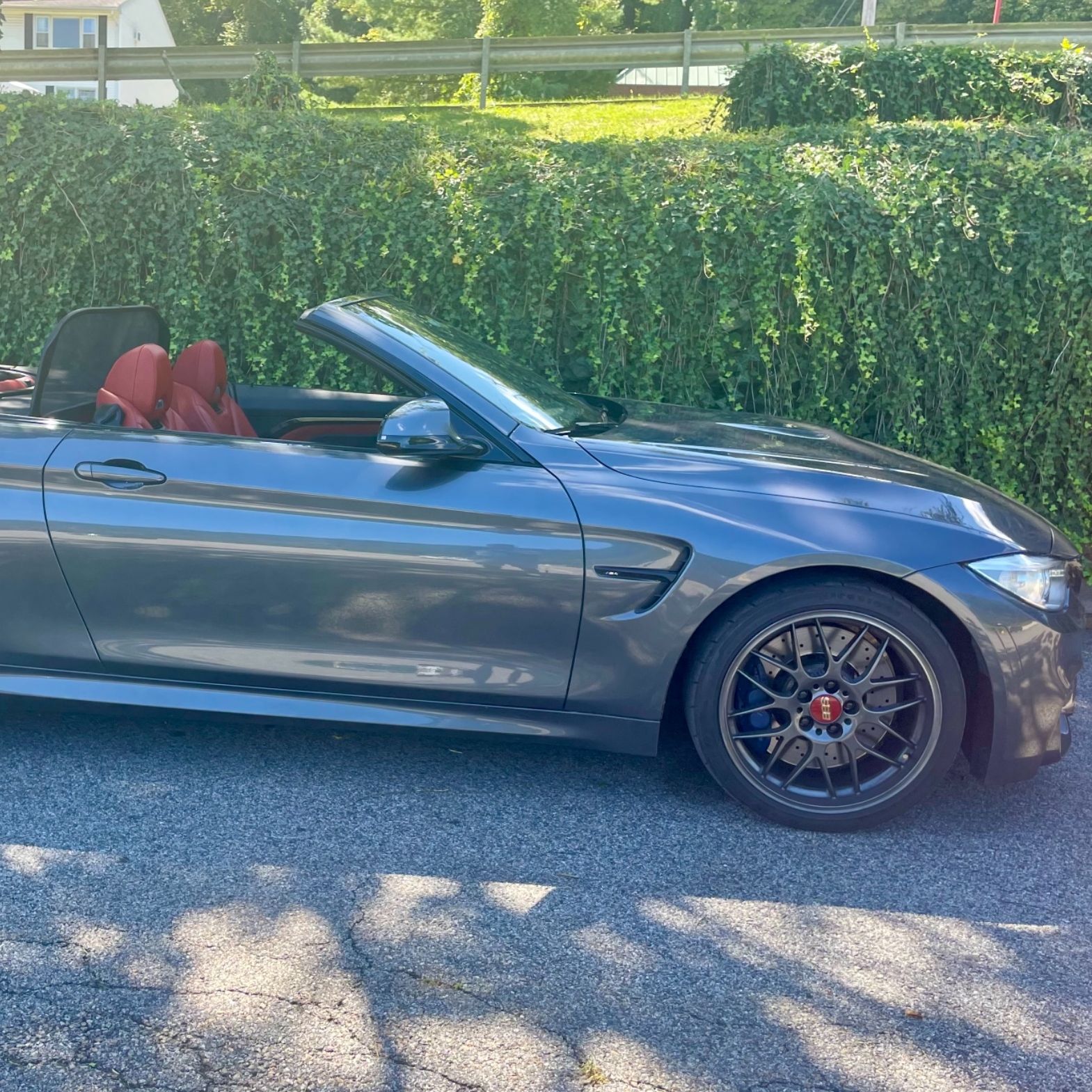 Profile of Thomas Martin