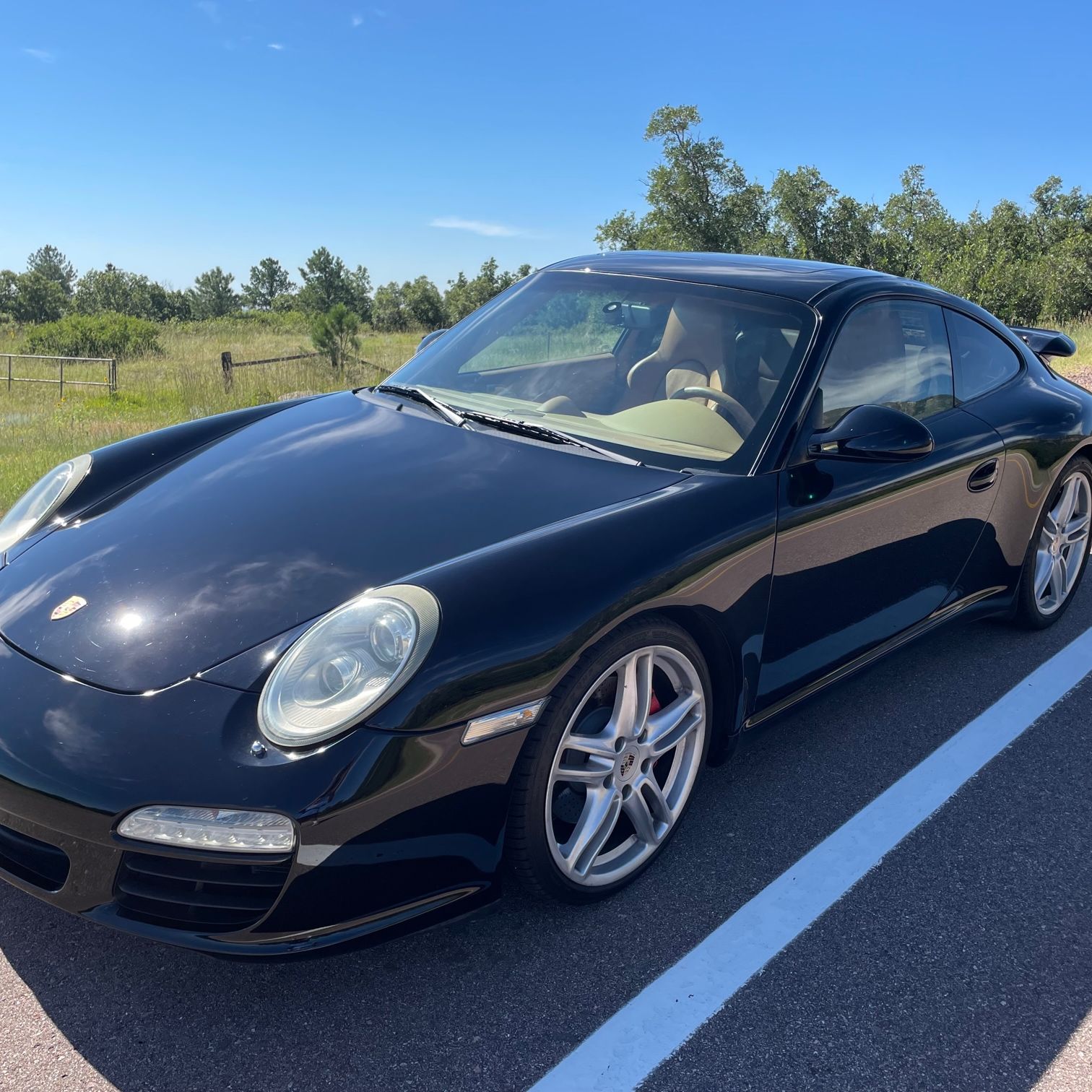 Profile of Daniel Diefenbach