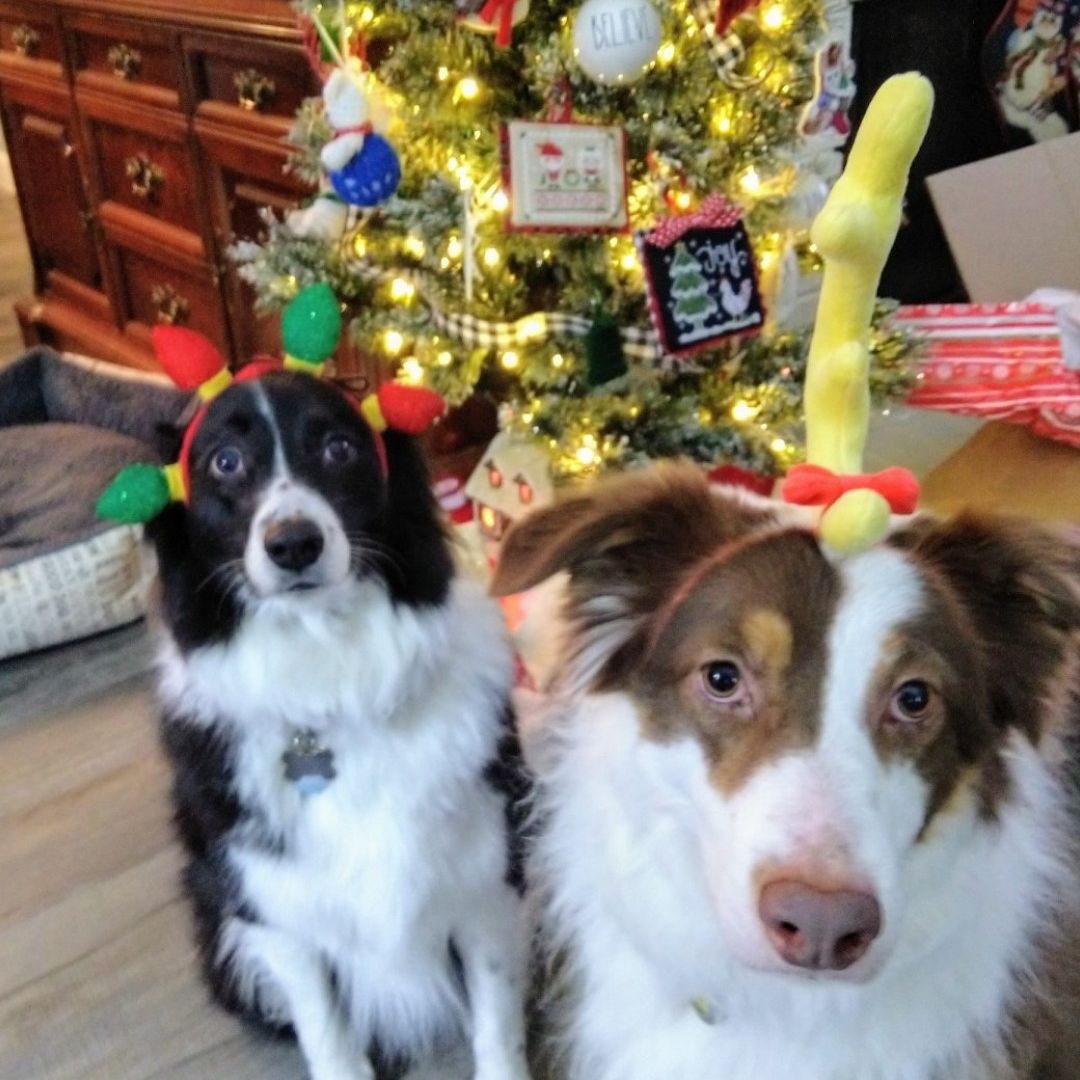 Profile of Steven Stanaway