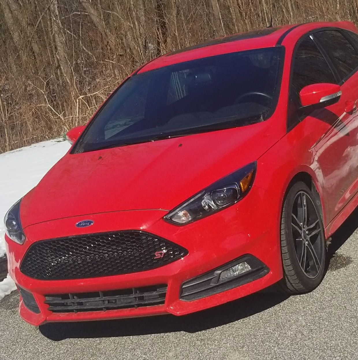 Profile of Zak Ziegler