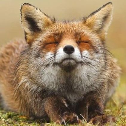 Profile of Michael Friedmann