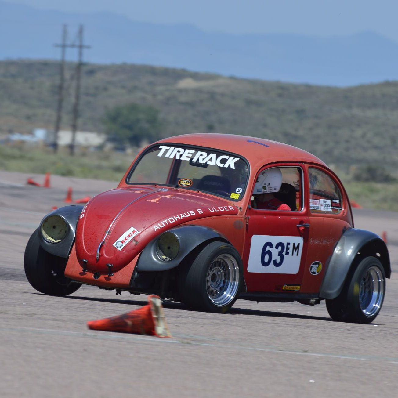 Profile of Tery Holt