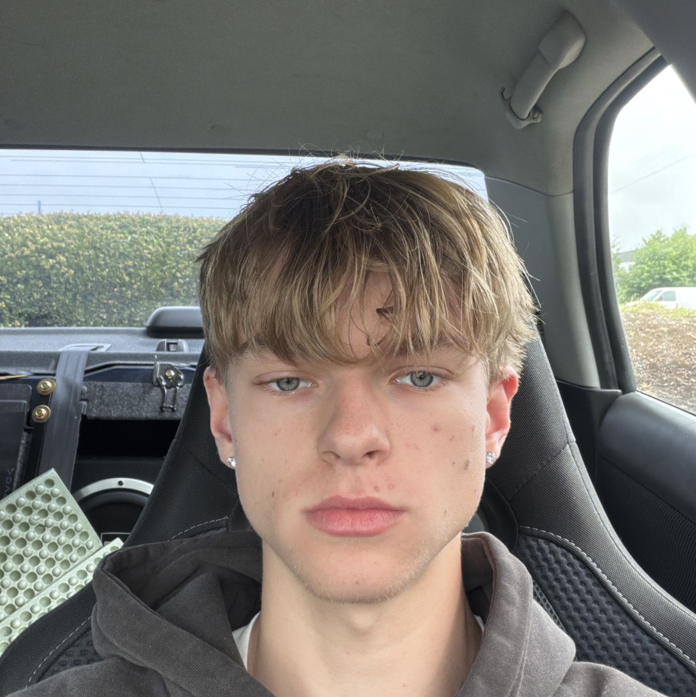 Profile of Pierce B