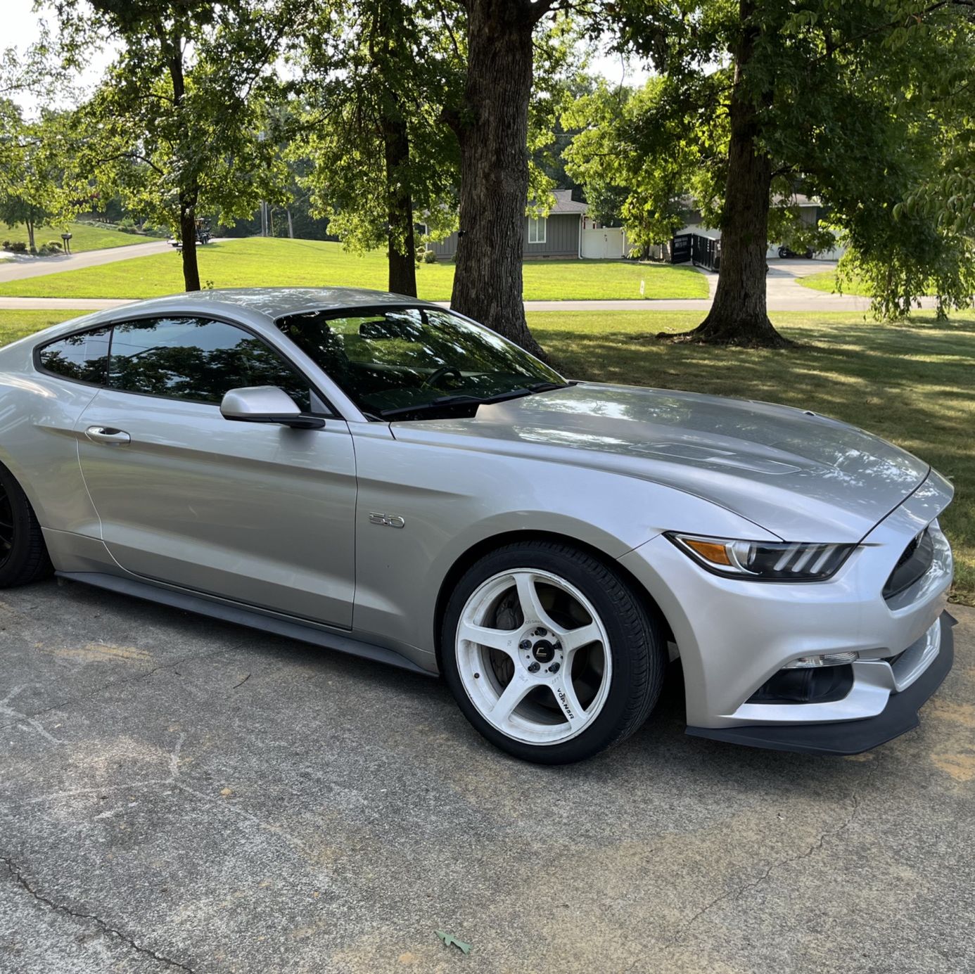 Profile of Matt Smith