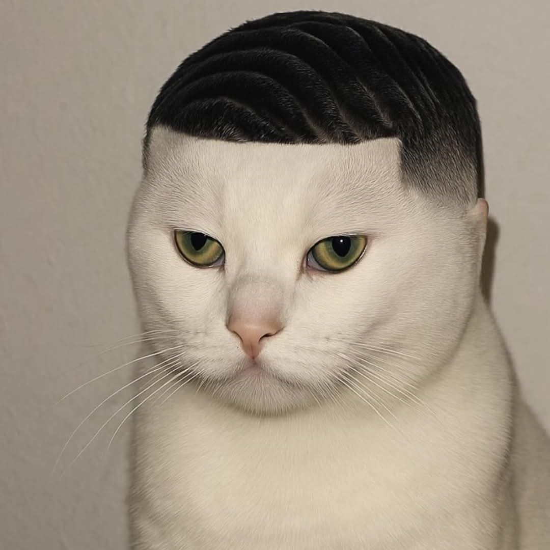 Profile of Jordan Turner