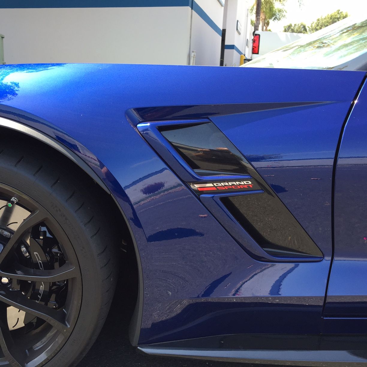 Profile of Steve Campbell