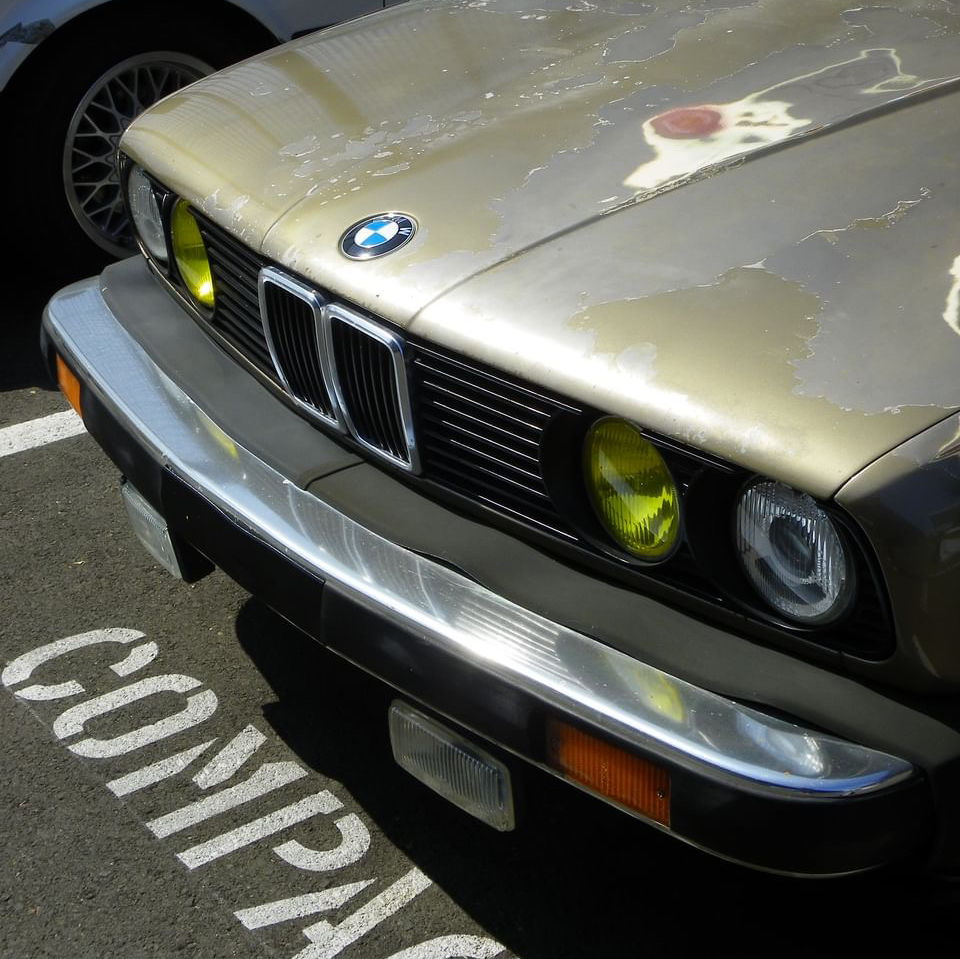 Profile of Iori Molina