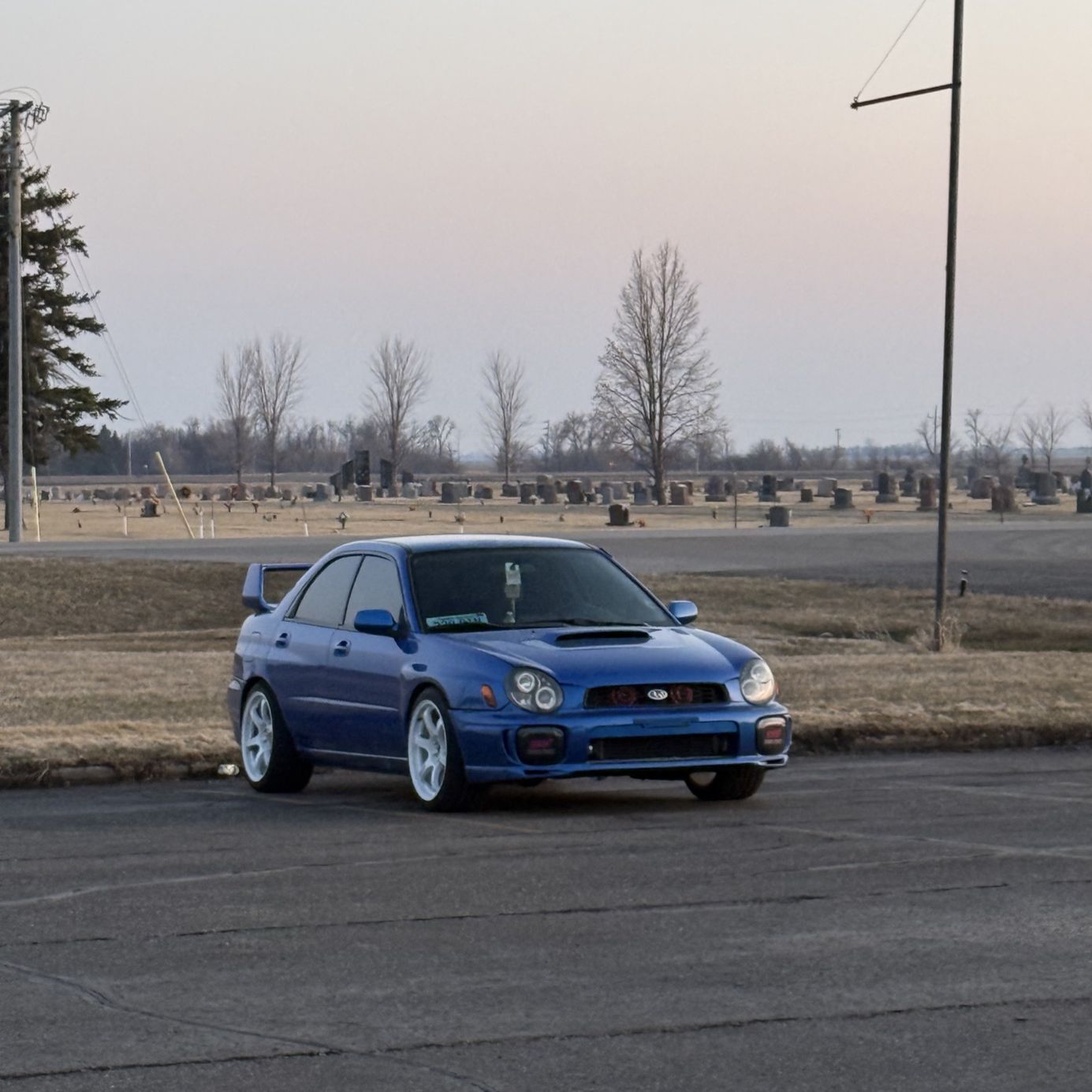 Profile of Maddox Juntunen