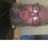 Profile of Paul Stell