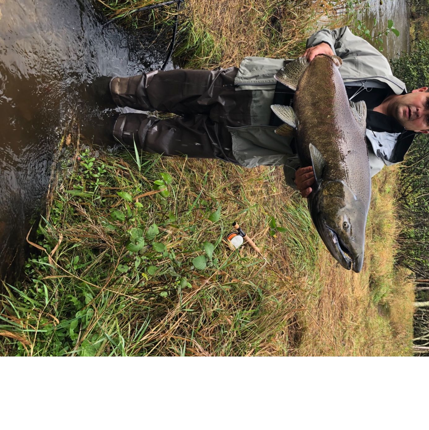 Profile of Mike Obrien