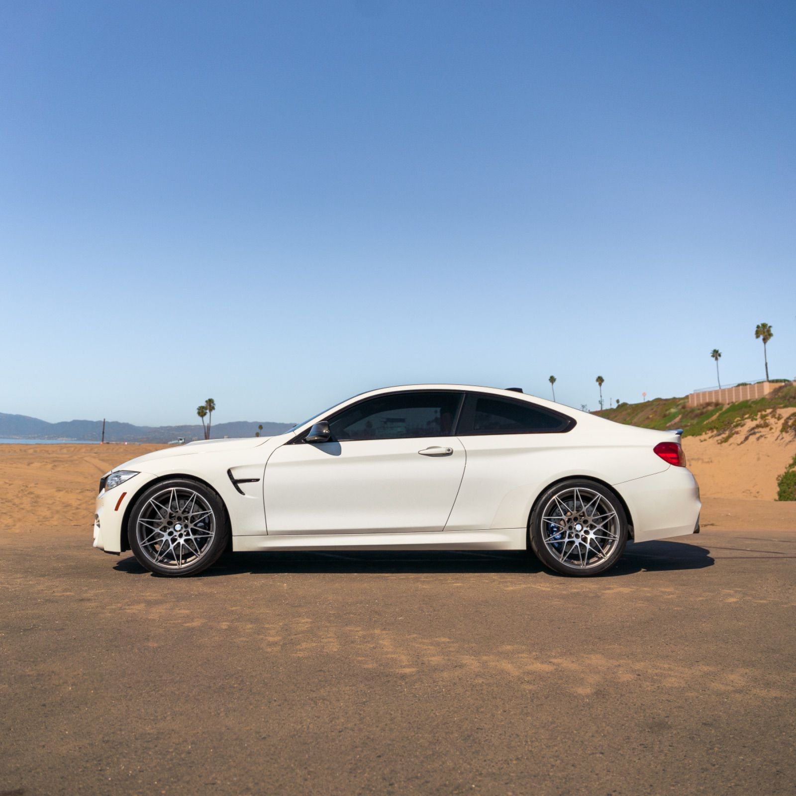 Profile of Samuel Orellana