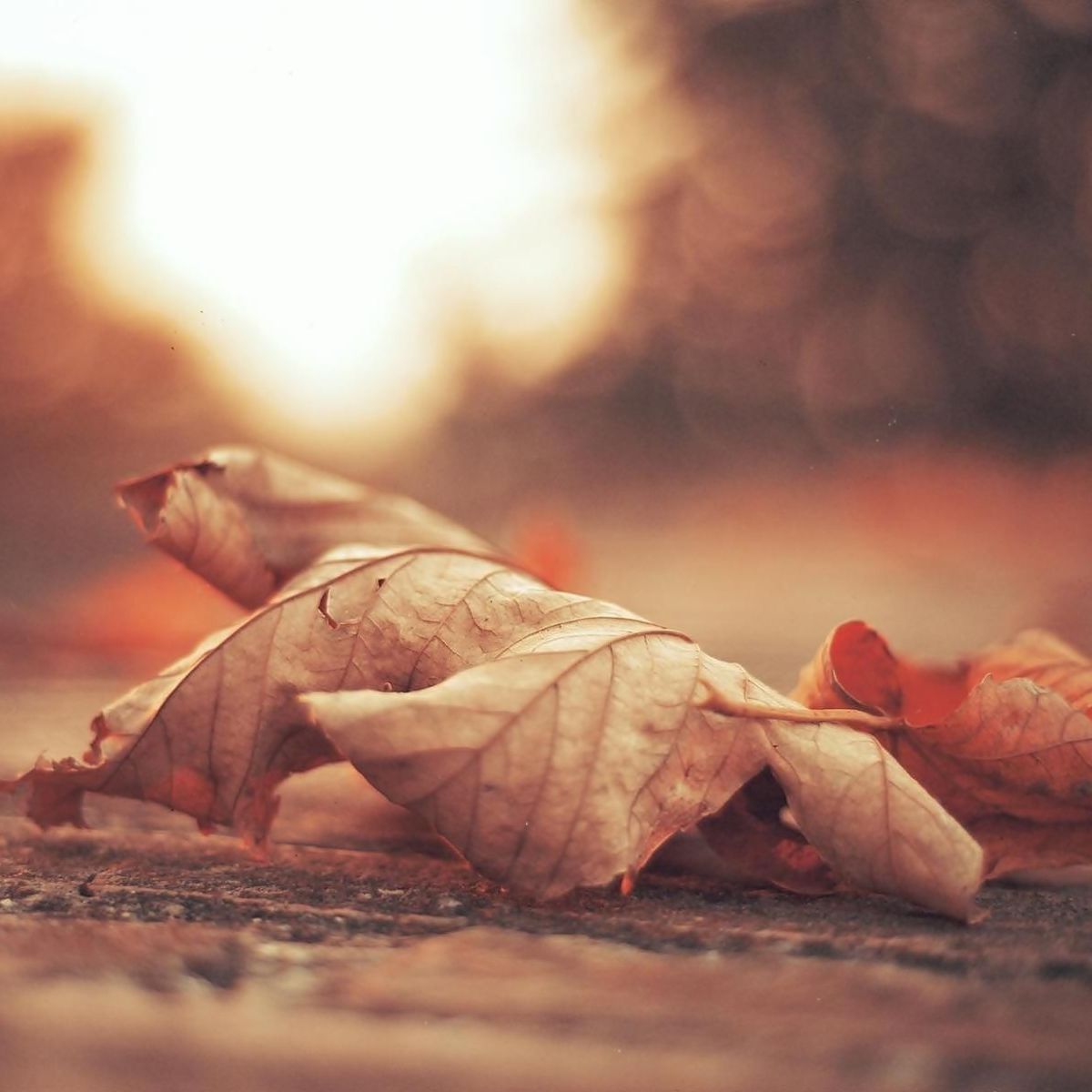 Profile of Abby Chapman