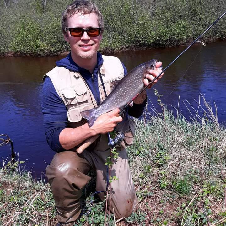 Profile of Owen Edwards