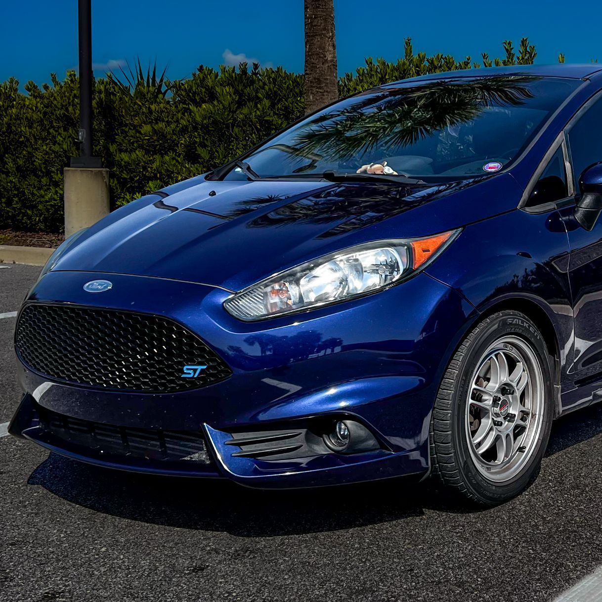 Profile of Alejandro Kelman