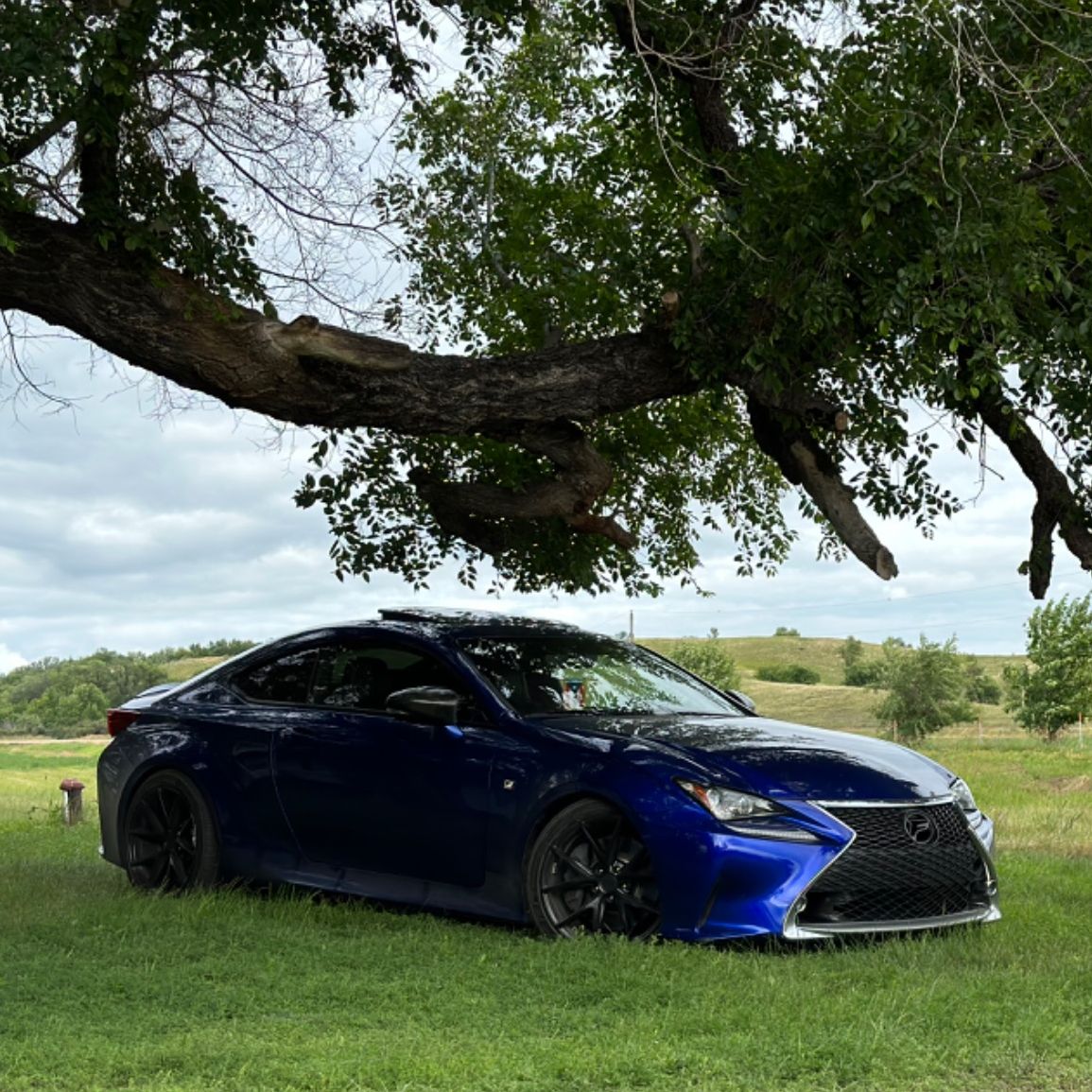 Profile of Luis Ocasio