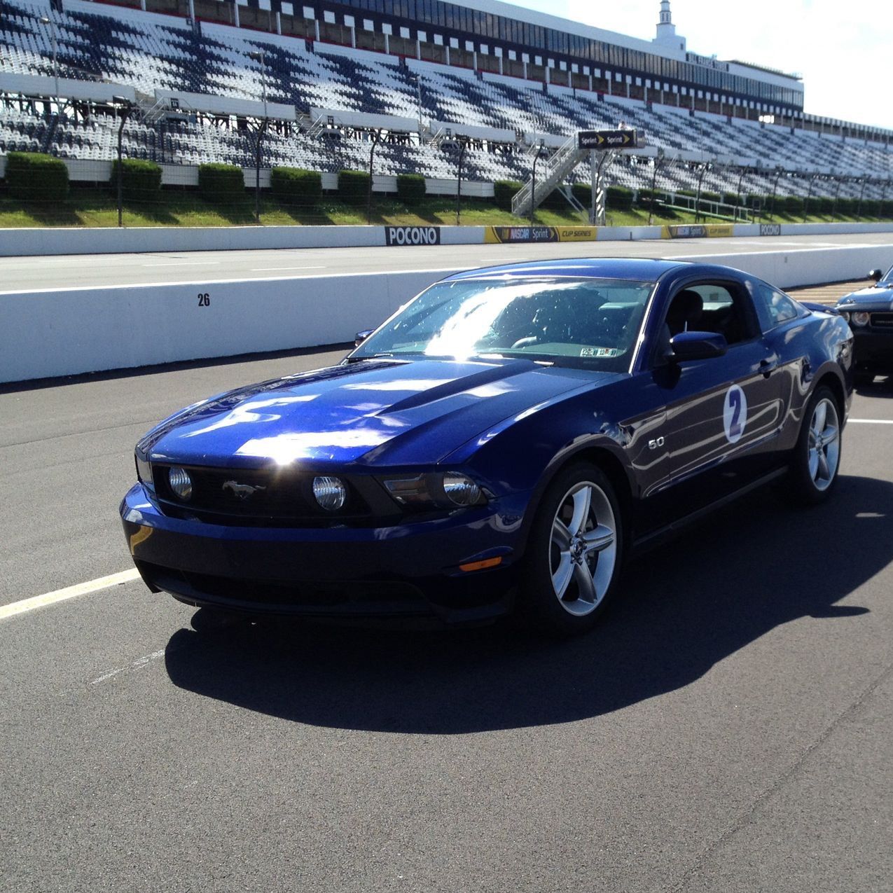 Profile of Anthony Colletti