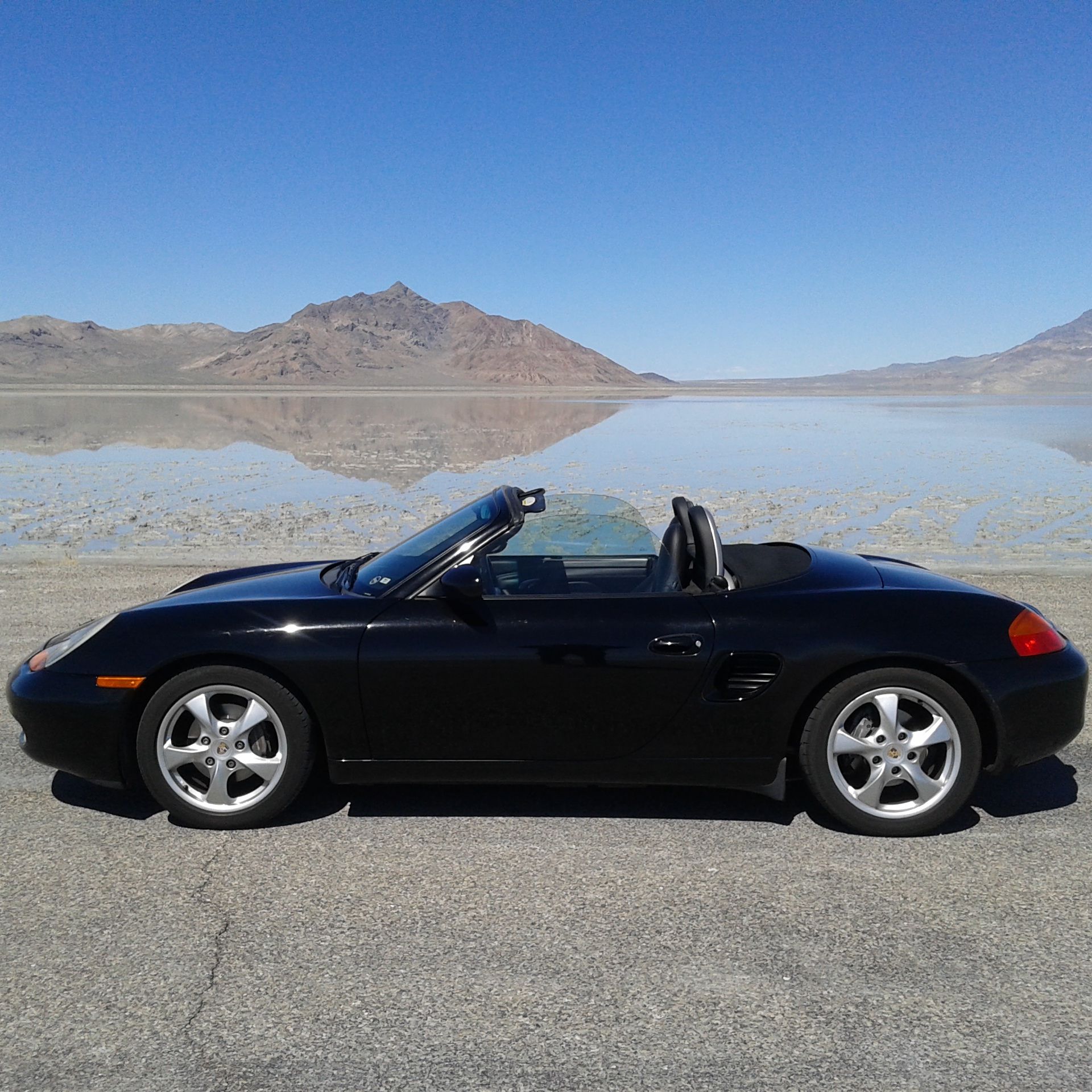 Profile of GIGI CAMARENA