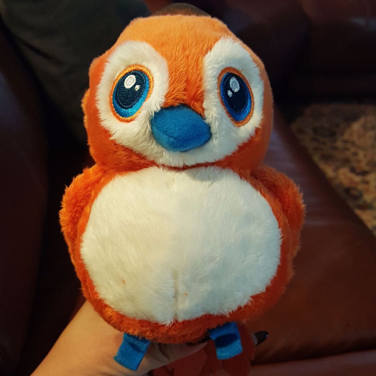 Profile of Kathryn Tanaka-iwamoto