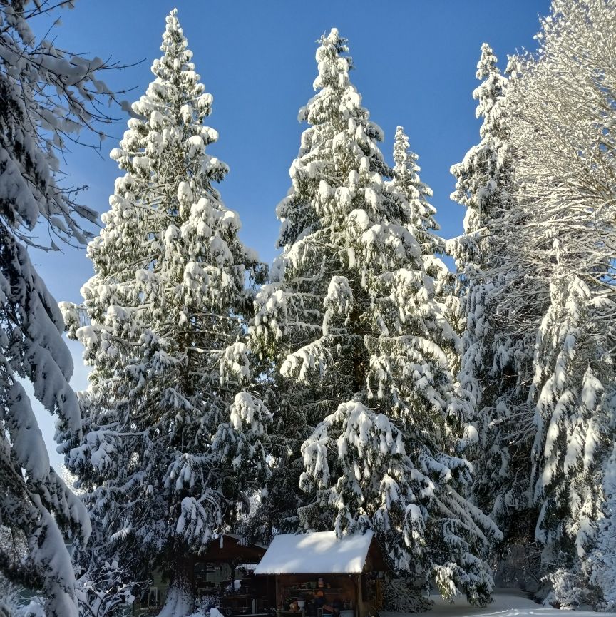 Profile of Pat Johnson