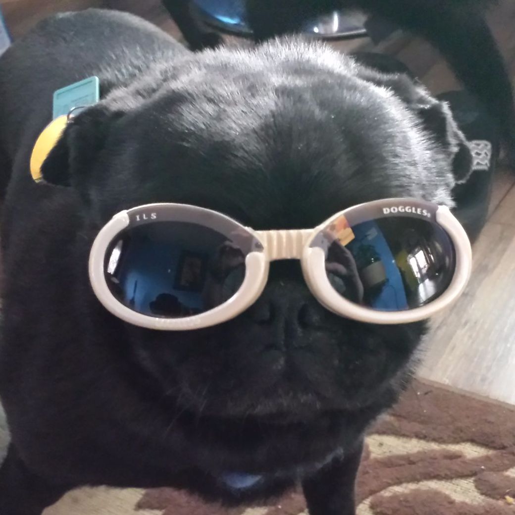 Profile of santford hedger