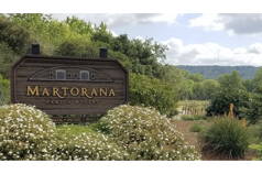 Winery Tour, Lunch, and Tasting Martorana 2022