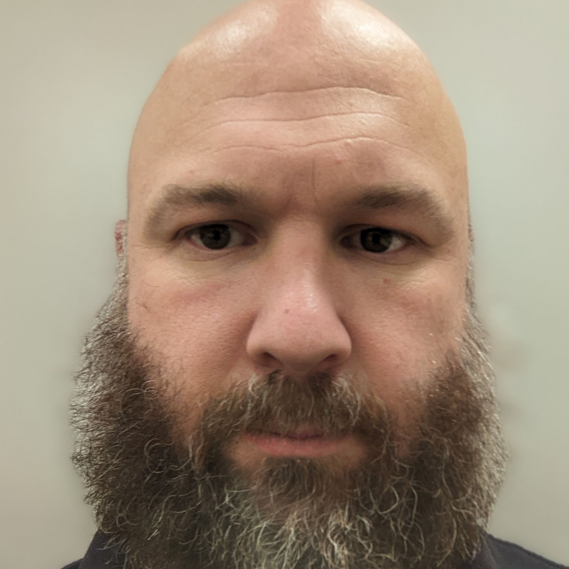 Profile of David Napierkowski